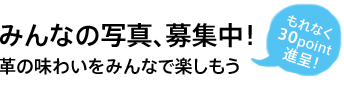 みんなの写真、募集中！（30point進呈！）